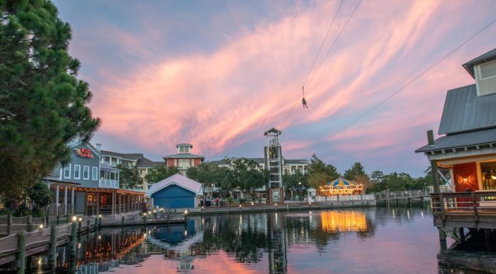 What is the most dog friendly city in Florida? What is the most dog friendly city in Florida?