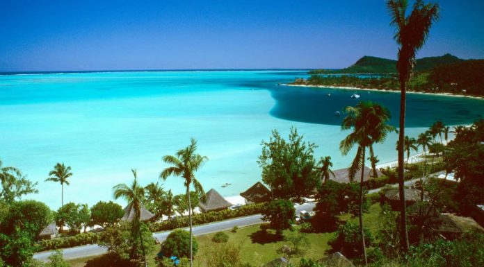 What is the most popular beach in NYC? What is the most popular beach in NYC?