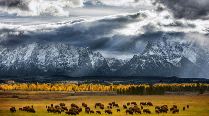 What is the most romantic trip? What is the most romantic trip?