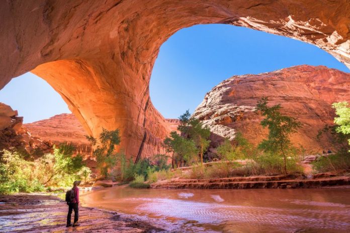 What is the most scenic part of Lake Powell?