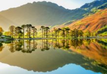 What is the most visited National Park? What is the most visited National Park?