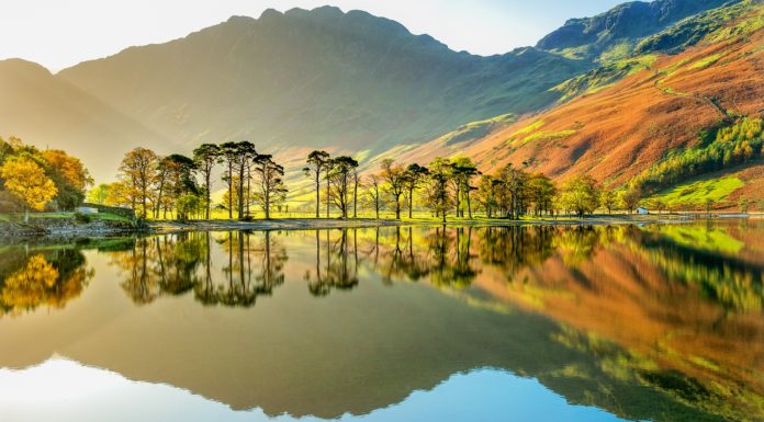 What is the most visited National Park? What is the most visited National Park?