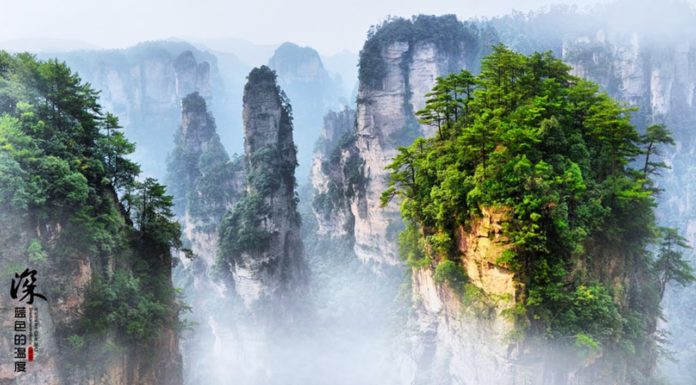 What is the most visited place in Tokyo? What is the most visited place in Tokyo?