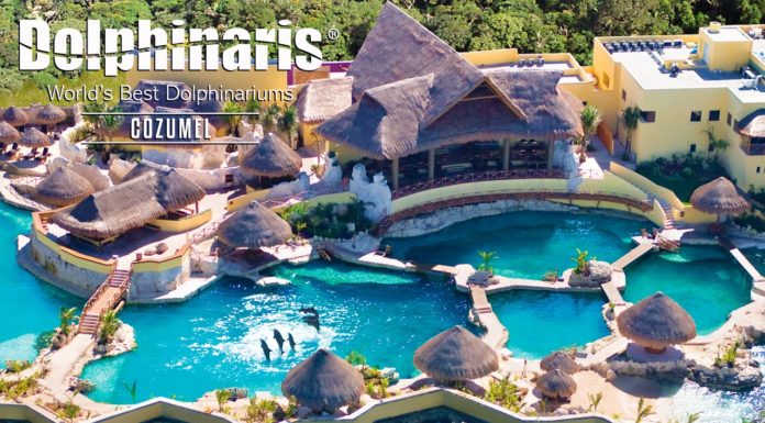 What is the nicest beach in Cozumel? What is the nicest beach in Cozumel?