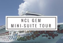 What is the number 1 cruise line? What is the number 1 cruise line?