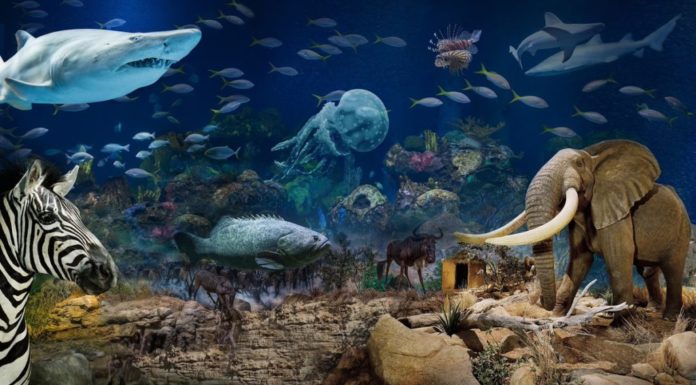 What is the number one attraction in Vermont? What is the number one attraction in Vermont?