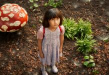 What island can you not visit? What island can you not visit?