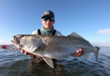 What kind of fish do you catch in Panama? What kind of fish do you catch in Panama?
