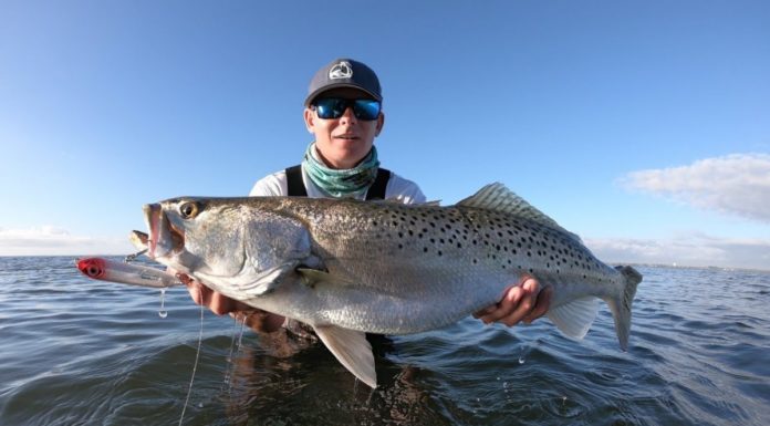 What kind of fish do you catch in Panama? What kind of fish do you catch in Panama?