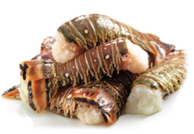 What lobster taste the best? What lobster taste the best?