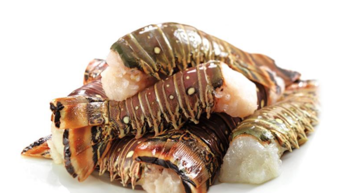 What lobster taste the best? What lobster taste the best?