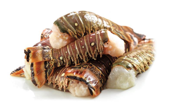 What lobster taste the best?