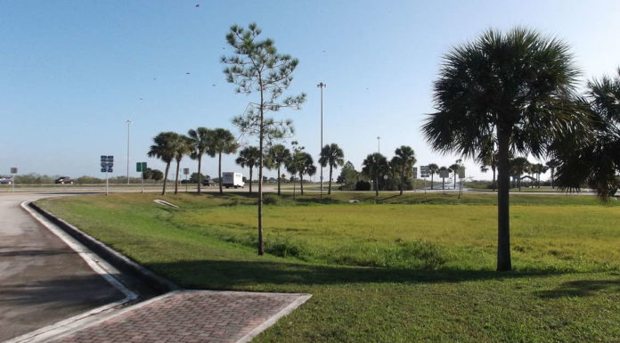 What part of Florida has no alligators? What part of Florida has no alligators?