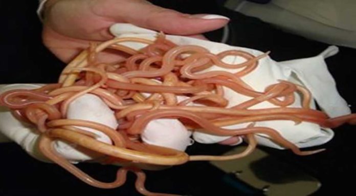 What should I avoid in Cuba? What should I avoid in Cuba?