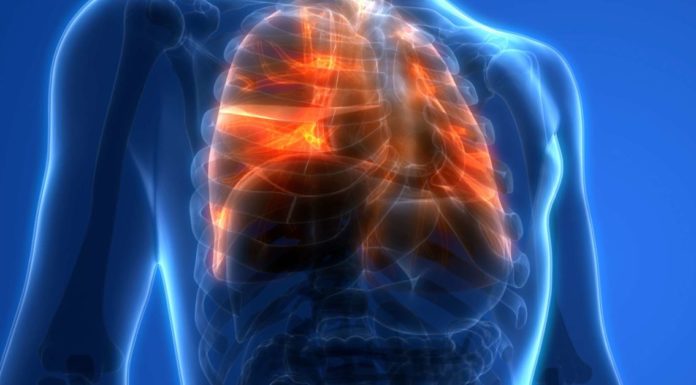 What should I avoid in Malaysia? What should I avoid in Malaysia?