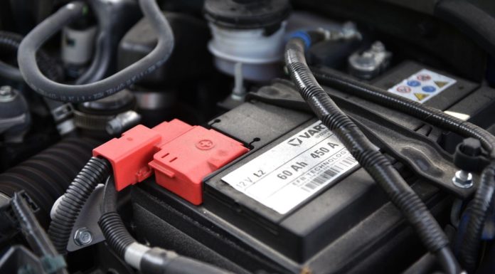 What should I look for when buying a snorkel? What should I look for when buying a snorkel?