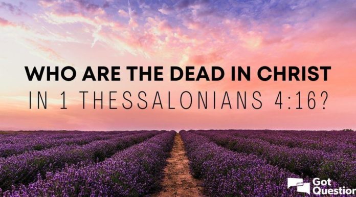 What should I not miss at the Prado? What should I not miss at the Prado?