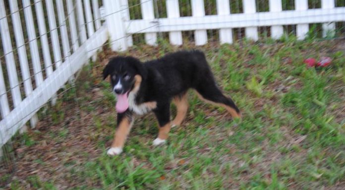 What should I pack for Jerusalem in March? What should I pack for Jerusalem in March?