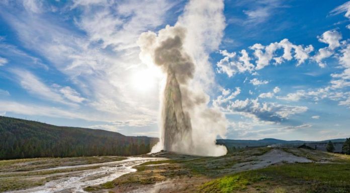 What should you not miss in Yellowstone National Park? What should you not miss in Yellowstone National Park?