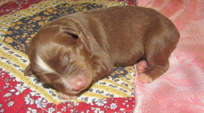 What should you not miss when visiting Paris? What should you not miss when visiting Paris?