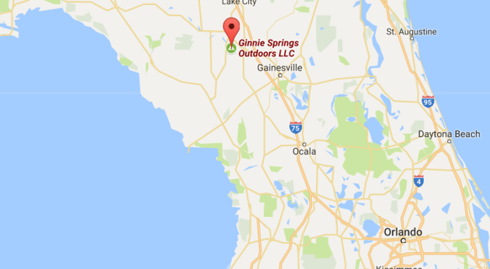 What springs in Florida allow dogs? What springs in Florida allow dogs?