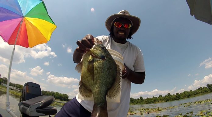 What state has the best offshore fishing? What state has the best offshore fishing?