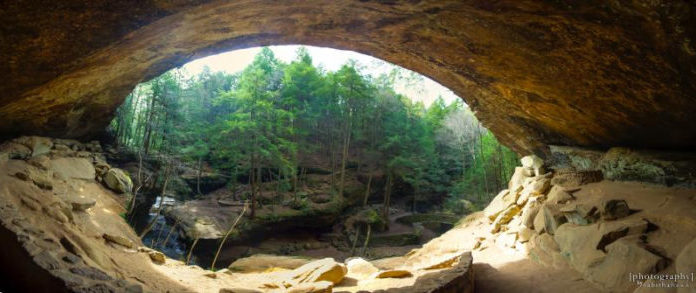 What state has the most presidents buried in it? What state has the most presidents buried in it?