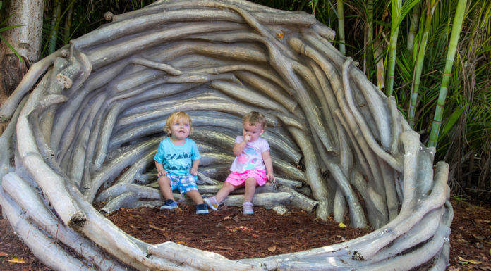 What time of year do love bugs come out in Florida? What time of year do love bugs come out in Florida?