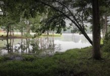 What towns are near Pine Mountain Georgia? What towns are near Pine Mountain Georgia?