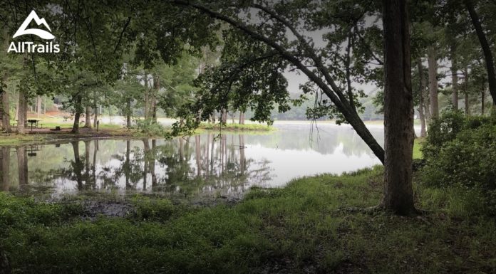 What towns are near Pine Mountain Georgia? What towns are near Pine Mountain Georgia?