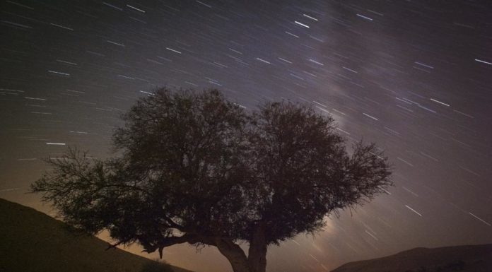 What will be the best meteor shower in 2021? What will be the best meteor shower in 2021?