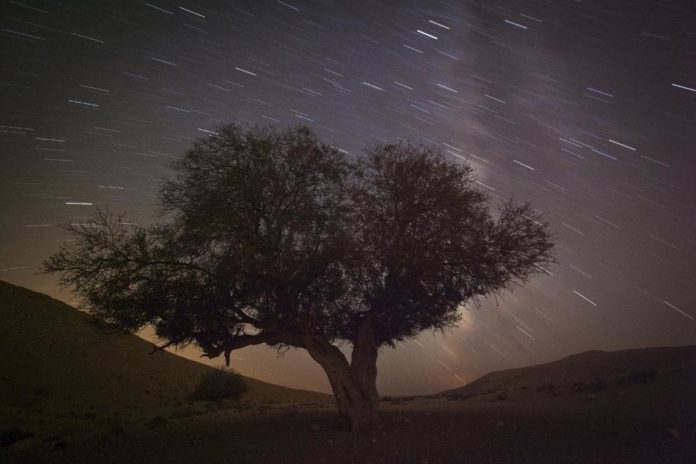 What will be the best meteor shower in 2021?