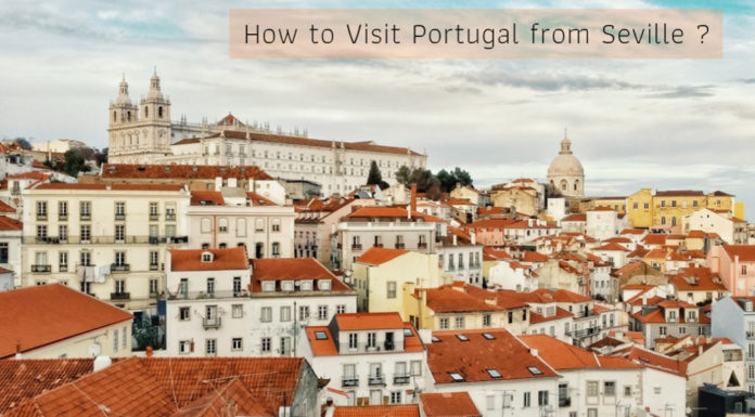 What’s better Porto or Lisbon? What's better Porto or Lisbon?