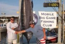 What’s biting at Gulf Shores pier? What's biting at Gulf Shores pier?
