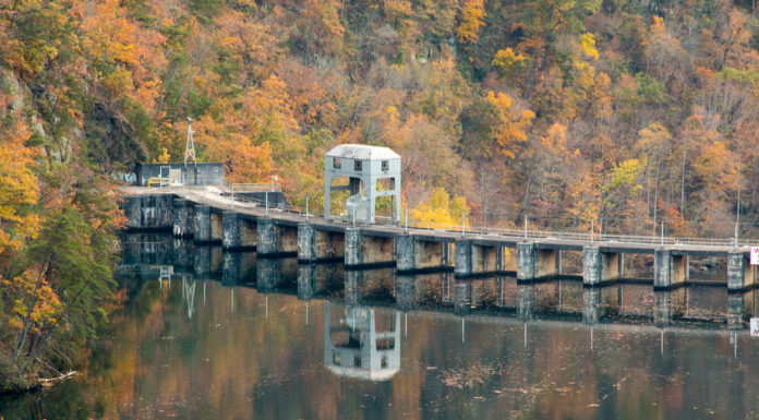 When were the Supertrees built? When were the Supertrees built?