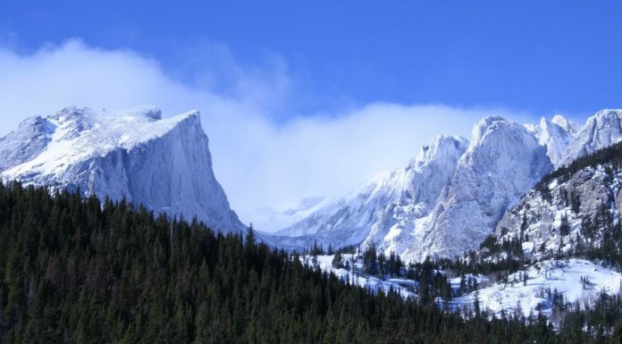 Where are the Beavers in Rocky Mountain National Park? Where are the Beavers in Rocky Mountain National Park?