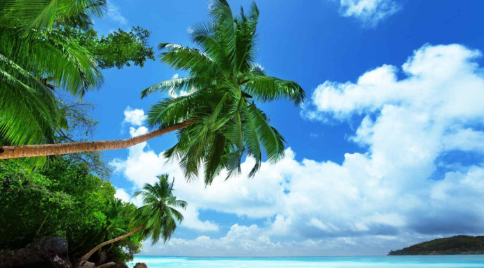 Where are the best sandy beaches in Croatia? Where are the best sandy beaches in Croatia?