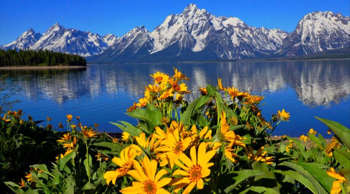 Where can I kayak in Lake Michigan? Where can I kayak in Lake Michigan?