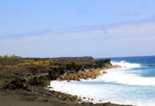 Where can I see flowers in Jeju Island? Where can I see flowers in Jeju Island?
