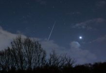 Where can I see the Taurid meteor shower? Where can I see the Taurid meteor shower?