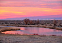 Where can I watch the sunset in Albuquerque? Where can I watch the sunset in Albuquerque?