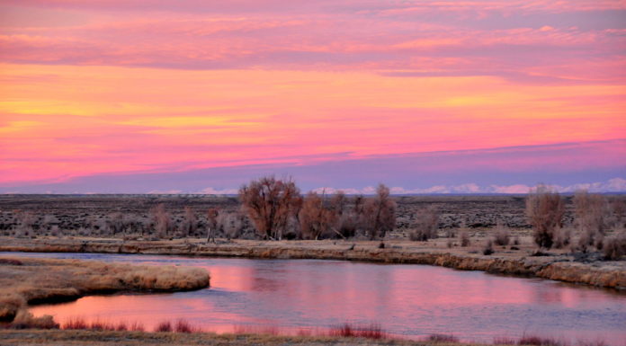 Where can I watch the sunset in Albuquerque? Where can I watch the sunset in Albuquerque?