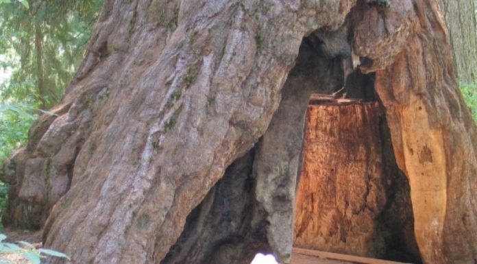 Where can I watch the sunset in Sequoia National Park? Where can I watch the sunset in Sequoia National Park?