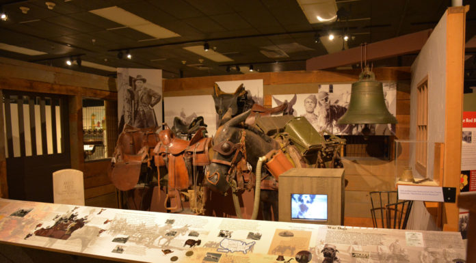 Where can a US passport not go? Where can a US passport not go?