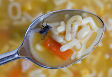 Where can you fly direct from Bergerac? Where can you fly direct from Bergerac?