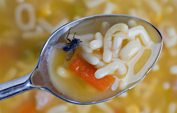 Where can you fly direct from Bergerac? Where can you fly direct from Bergerac?