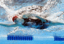 Where can you swim in donauinsel? Where can you swim in donauinsel?