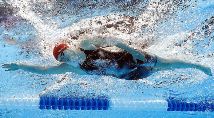 Where can you swim in donauinsel? Where can you swim in donauinsel?