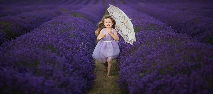 Where can you visit lavender fields?