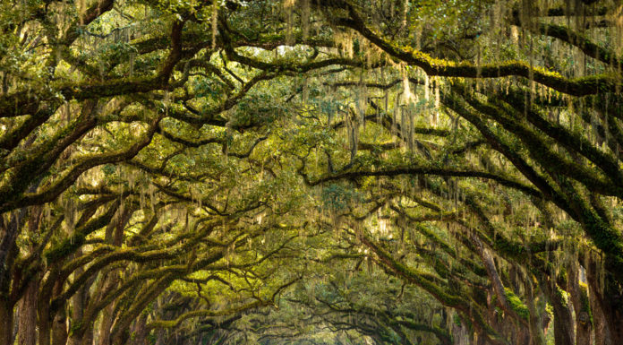 Where do millionaires live in Florida? Where do millionaires live in Florida?